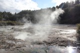 Wai-O-Tapu Thermal Wonderland