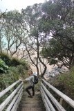 Waihihi Bay