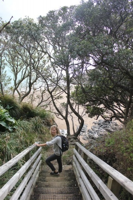 Waihihi Bay