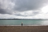 Waihihi Bay
