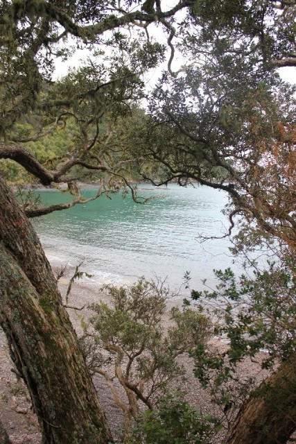 Verlaten strand