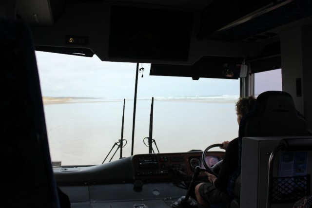 Bus