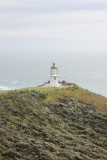 Cape Reinga