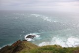 Tasmanzee en Pacifische Oceaan