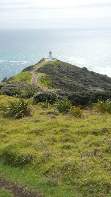 Cape Reinga
