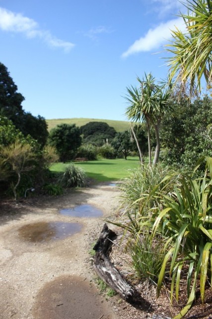 Bay Of Islands