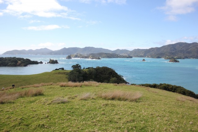 Bay Of Islands