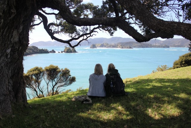 Bay Of Islands