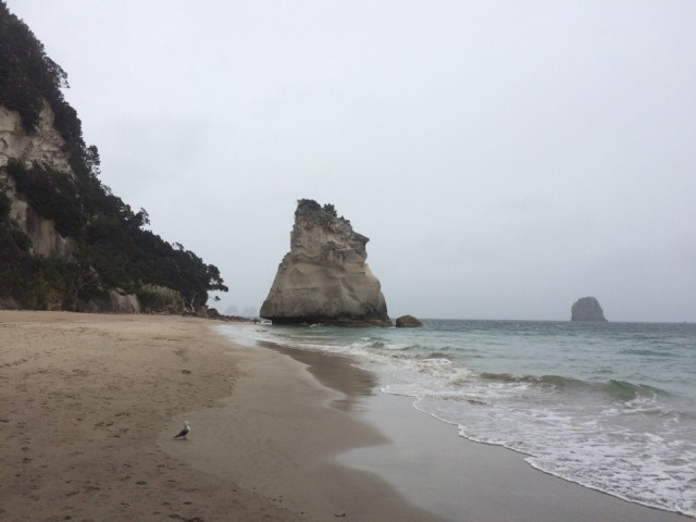 Cathedral Cove