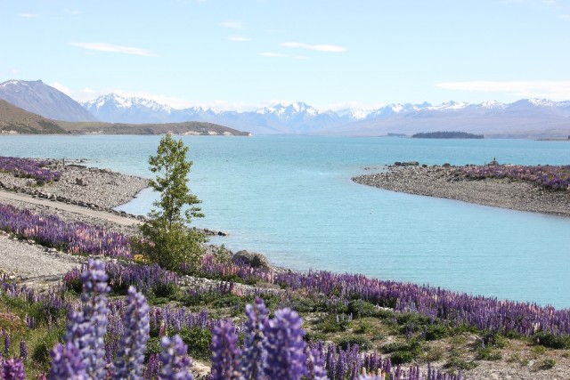 Lake Tekapo
