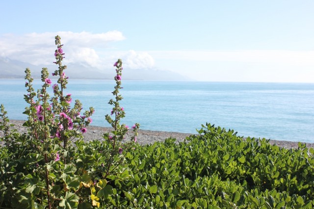 Kaikoura
