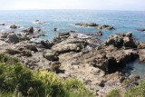 Seal Colony
