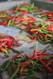 Suva Market