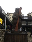 Bear Town