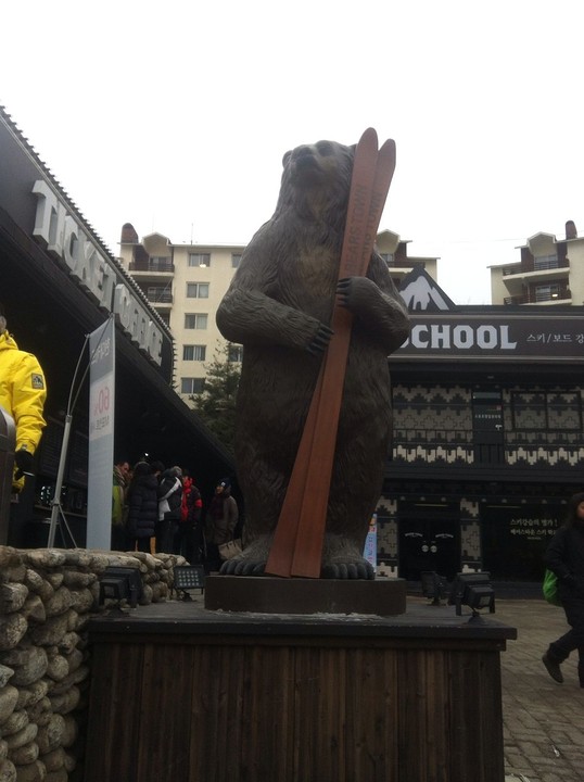 Bear Town