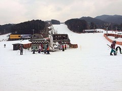 Bear Town