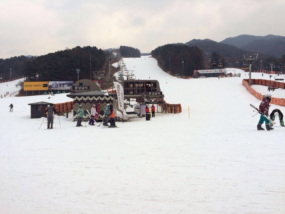 Bear Town