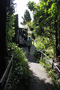 Karioi Lodge