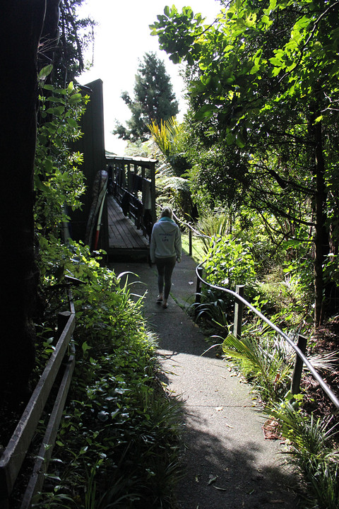 Karioi Lodge
