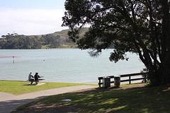 Raglan Town