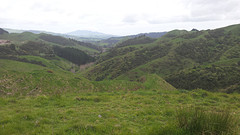 Raglan Hills