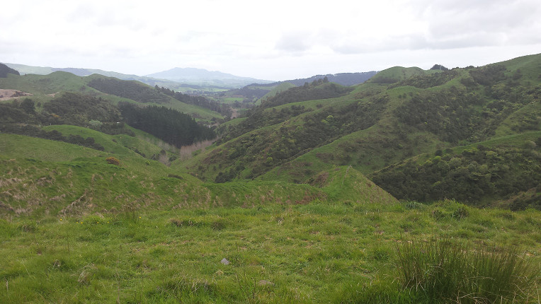 Raglan Hills