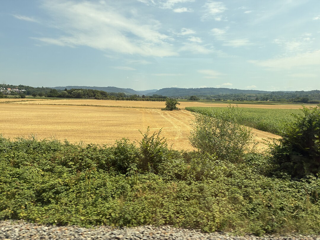Het graan is al binnen in Kenzingen