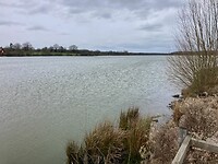 IMG_7232