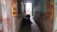 Steeg Varanasi