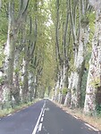 IMG-20250921-WA0071