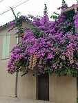 IMG-20250921-WA0044