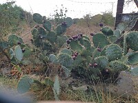 IMG-20250921-WA0023