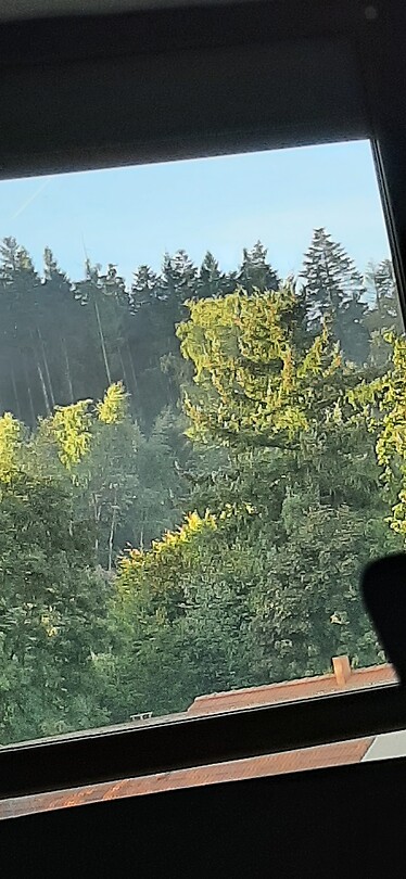 20250928_082632
