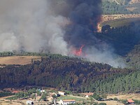 Bosbrand bij camping O Tempo Parou 2