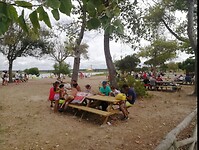 Dagelijks tafereel bij het meer