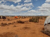 gevlucht vanwege de droogte