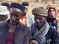 Borana