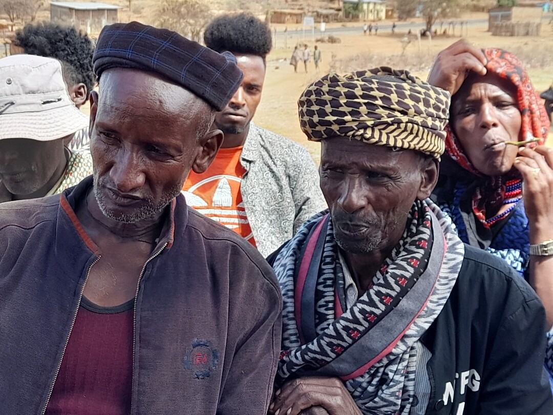Borana