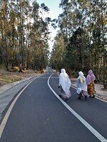 wandelpad en wandelaars