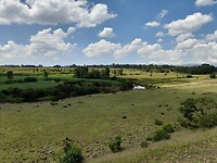 landschap