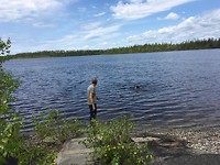Bijke swimming in Klotz Lake.