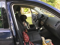 New driver