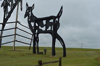 Big deer