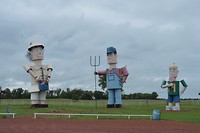 Tin Family
