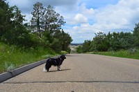 Bijke roaming the Badlands