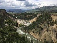 Calcite springs