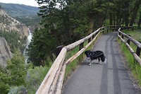Bijke at Calcite Springs