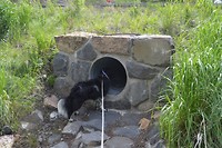 Tunnel Tunnel