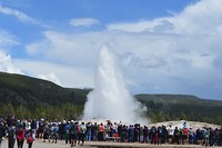 Old Faithful