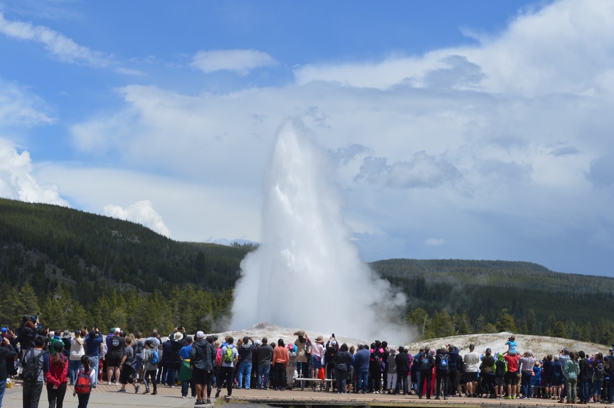 Old Faithful